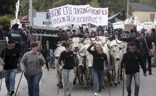 Manifestation contre la réintroduction d'ourses en Béarn, le 30 avril 2018 à Pau