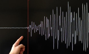 Un technicien montre la courbe d'un sismographe, le 11 mars 2011 à Strasbourg