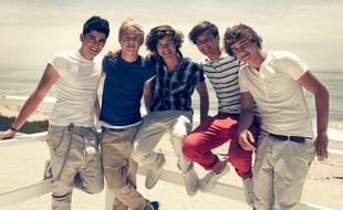 Les cinq membres du boy's band britannique One Direction.