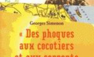 Des phoques aux cocotiers et aux serpents à sonnette : l'Amérique en auto