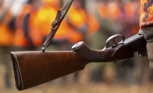 Un fusil de chasse. Illustration.