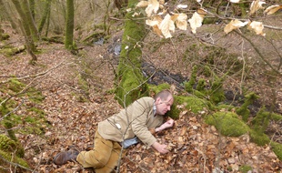 Charles Foster se repose au creux d'un arbre lors de l'une de ses immersions dans la peau d'une bête.