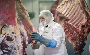 Un abattoir en Roumanie.