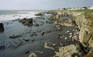 Annulation possible de la procédure de l'Erika, questions posées par la fuite de gaz sur une plate-forme en mer du Nord ou les futures éoliennes au large des côtes françaises : la mer reste "le parent pauvre du droit de l'environnement", estime l'avocat spécialisé Arnaud Gossement