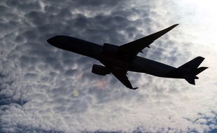 Un avion A350 lors d'une démonstration en vol.