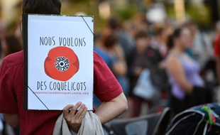 C'est la section communale du mouvement "Nous voulons des coquelicots" qui a organisé la manifestation. (archives)