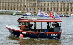 Des bateaux de pêcheurs en faveur du Brexit sur la Tamise à Londres, le 15 juin 2016