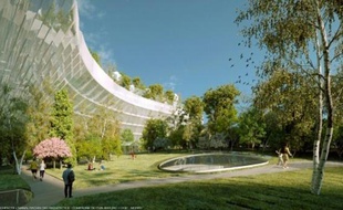 Image de synthèse présentant le projet "Mille Arbres" à Paris