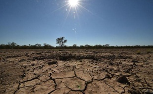 La région de Walgett en Australie, touchée par la sécheresse, le 11 février 2015