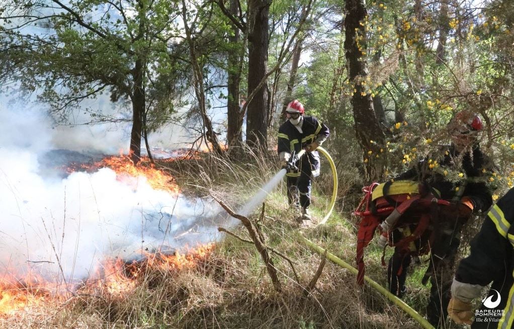 Bretagne : Un important feu commence à ravager la forêt de Brocéliande