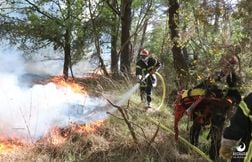 Un important feu commence à ravager la forêt de Brocéliande