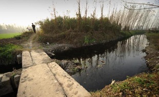 Une rivière polluée dans la province du Henan en Chine le 6 novembre 2009