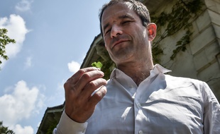 Benoît Hamon communie avec le monde végétal.