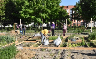 Les potagers écolos et partagés ont été lancés dès 1998 dans la ville basque de Vitoria-Gasteiz, capitale verte européenne en 2012.
