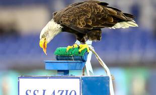 L'aigle de la Lazio, mascotte du club romain (photo d'illustration).