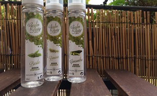 Strasbourg, le 4 juillet 2016. - Les distilleries Massenez proposent des sprays d'eau-de-vie et des liqueurs aux plantes aromatiques (basilic, romarin...) ou aux légumes (carotte, concombre).