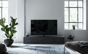 Le TX-55FZ800, de Panasonic.