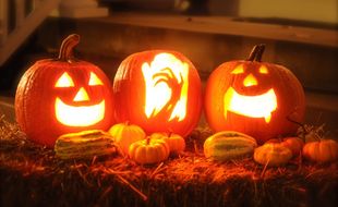Illustration de citrouilles pour Halloween.