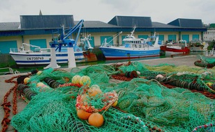 Chalutiers et filets dans le port de pêche de Port-en-Bessin, dans le Calvados.