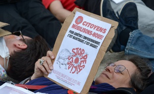 Lors d'une manifestation du collectif Nous voulons des coquelicots, à Paris, place de la Bataille-de-Staningrad. (archives)