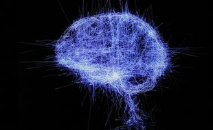Oeuvre d'art représentant le cerveau, exposée par le Grand Palais en 2018.