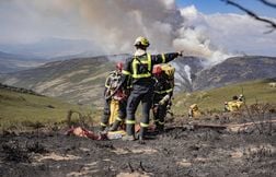 Une surface record, plus grande que la Corse, brûlée depuis janvier en Euro…