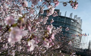 Le printemps pointe son nez le 11 mars 2014 à Strasbourg
