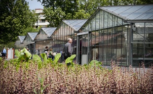Strasbourg: Un projet de serres urbaines chauffées grâce à l'énergie d'une centrale biomasse (Illustration)