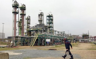 La date limite pour le dépôt des offres de reprise de la raffinerie Petroplus Petit-Couronne, près de Rouen, a été une nouvelle fois repoussée au 30 avril, a annoncé jeudi la direction de l'entreprise dans un communiqué.