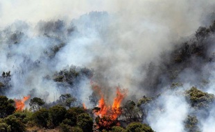 Une exploitation agricole a été détruite par le feu dans la nuit de samedi à dimanche à la Chaloupe Saint-Leu sur les hauteurs de l'ouest de l'île de la Réunion où 43 personnes ont dû être évacuées à la suite de la propagation d'un incendie dans le parc national, a annoncé la préfecture de la Réunion.