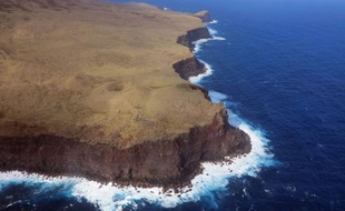Les eaux des terres australes françaises recèlent deux trésors: la légine, poisson gras très prisé en Asie, et la langouste, que seule une poignée de bateaux est autorisée à pêcher, sous un contrôle drastique qui permet de préserver cette ressource extrêmement lucrative.