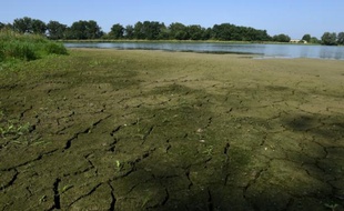 Un étang en voie d'assèchement, le 12 août 2015 à Saint-André-le Bouchoux (centre-est)