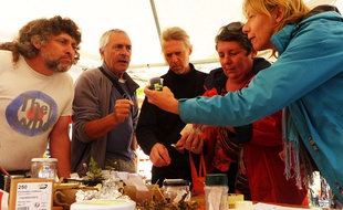 Les graines de concombre d’Yves seront plantées dans le jardin d’Aline.