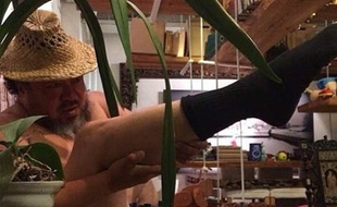Ai Weiwei sur Instagram