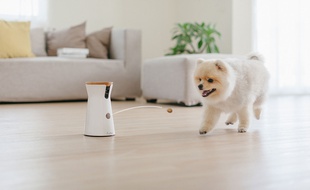 La caméra connectée Furbo lance aussi des croquettes à distance.