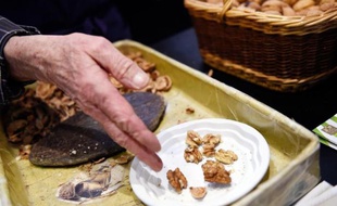 Dégustation de noix au Salon de l'agriculture, le 26 février 2015 à Paris