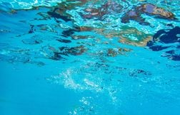 Portés disparus, deux enfants retrouvés noyés dans une piscine à Antibes