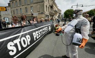 Un manifestant contre les pesticides à Bordeaux le 31 mai 2016