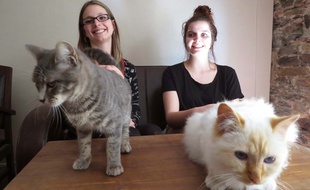 Hélène Bonin, gérante des lieux, et Clémentine Carpentier, pâtissière.