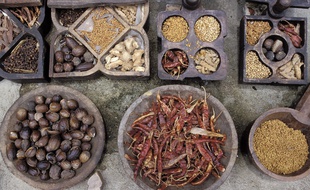 Plus de mille herbes et épices rentrent dans la composition des produits ayurvédiques.