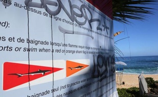 La pêche aux requins organisée par les pouvoirs publics après une série d'attaques contre des surfeurs a démarré vendredi à La Réunion, couplée à une opération de marquage pour mieux connaître les habitudes de ces squales.