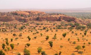 L’informatique moderne permet de mieux repérer les arbres et arbustes isolés dans des zones arides et semi-arides