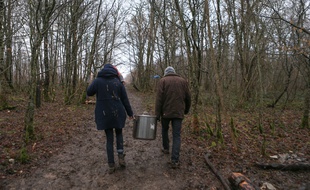 La forêt cédée par la commune de Mandres-en-Barrois n'est pas la même que le Bois-Lejuc occupé depuis des mois par les opposants au projet. Illustration