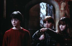 Le lancement du marathon « Harry Potter » fait un carton sur TF1