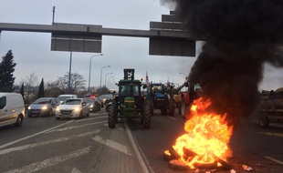 Des agriculteurs manifestent sur le périphérique de Toulouse, le 31 janvier 2018.