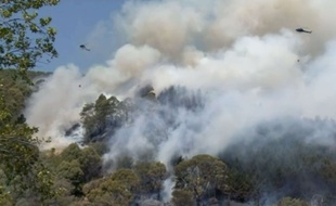Des hélicoptères larguent de l'eau pour contenir le feu à Wakefield, en Nouvelle-Zélande.