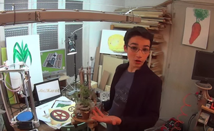 Eliott Sarrey, Lorrain de 14 ans et finalistes du Google Science Fair 2015, va aller défendre son projet Bot2karot au siège californien de la firme américaine en septembre.