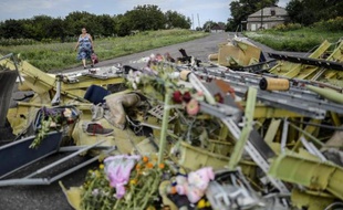 Des fleurs au milieu des débris de l'avion malaisien le 20 juillet 2014 près de Grabove dans la région de Donetsk