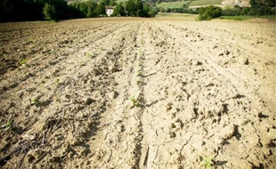 Un plan de 100 millions d'euros est prévu dans le courant du mois de juin.
