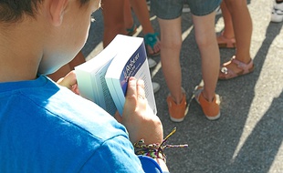 Plus de 73 000 écoliers fréquentent les 445 écoles publiques de la ville.